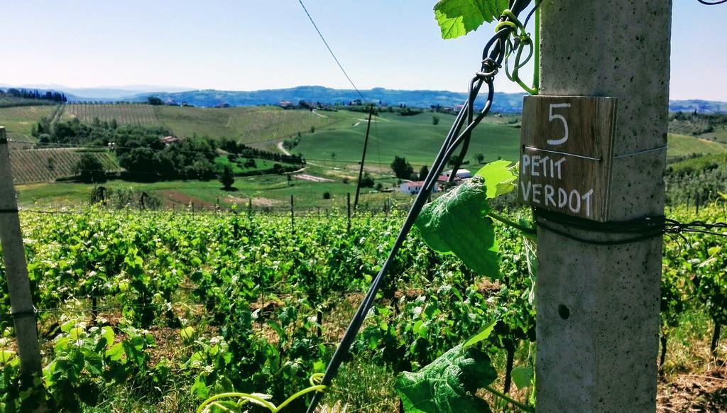 Agriturismo Luggiano 芬奇 外观 照片