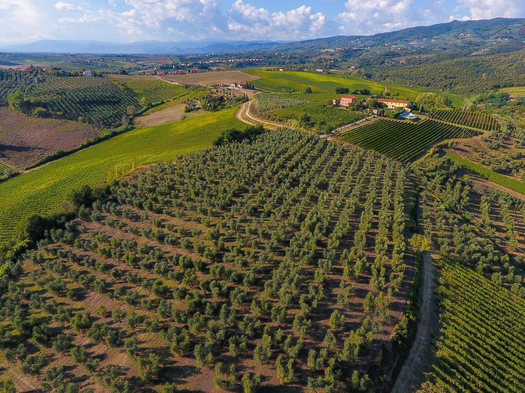 Agriturismo Luggiano 芬奇 外观 照片