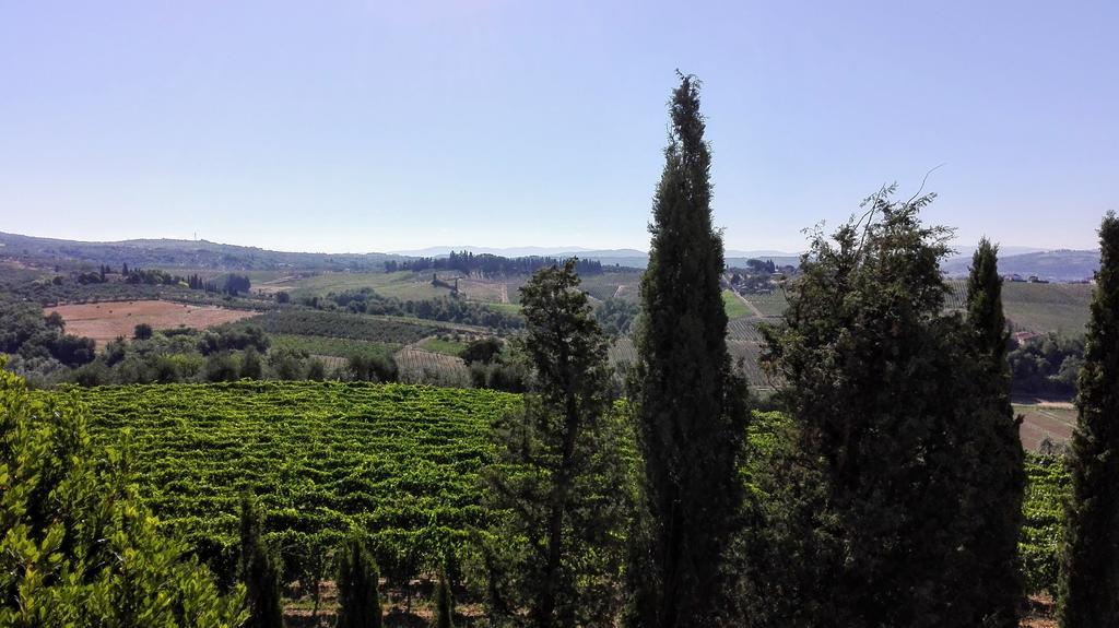 Agriturismo Luggiano 芬奇 外观 照片